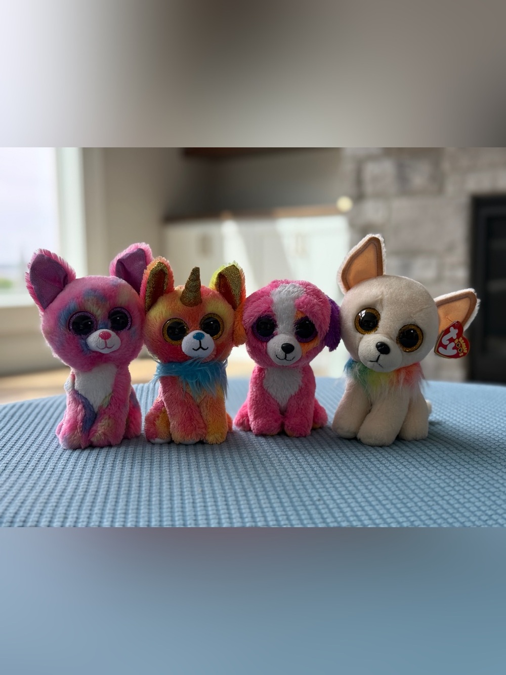 Ty Beanie Boo dog lot of 4.  Cancun, Precious, Yips & Chewey.